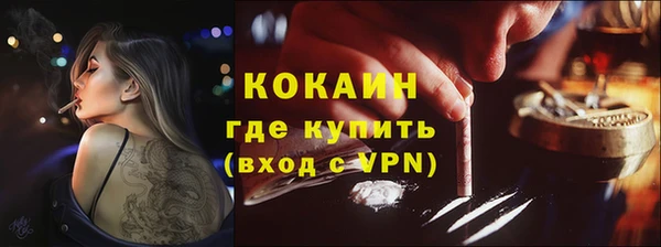 мяу мяу мука Бородино