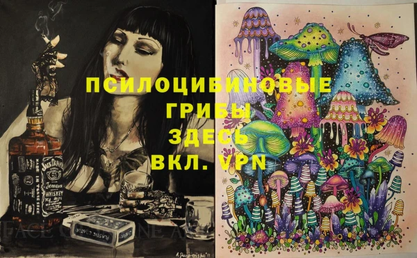 мяу мяу мука Бородино