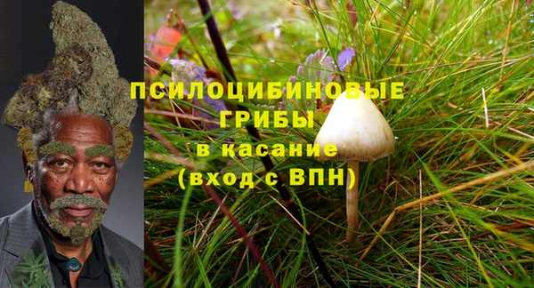 каннабис Бронницы
